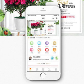 徐汇门店微商城小程序开发