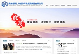 徐汇城市开发投资集团有限公司