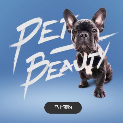 徐汇宠物中心小程序开发