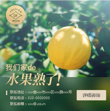 徐汇果园果林小程序开发